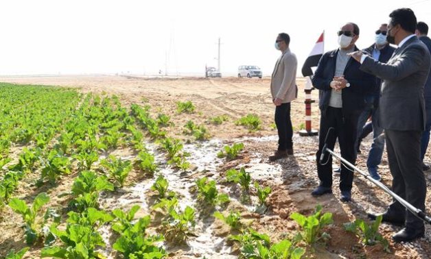 Agricultural exports hit record $11.5B in 2025, a quarter of Egypt's total outbound trade