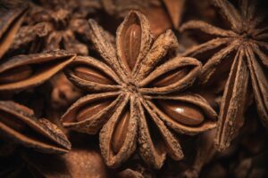 Anise Seed