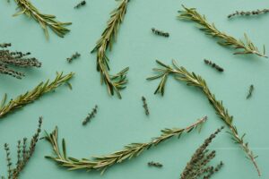 Thyme