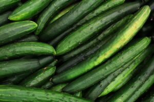 Cucumber